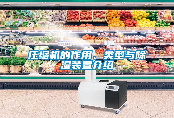 壓縮機的作用、類型與除濕裝置介紹