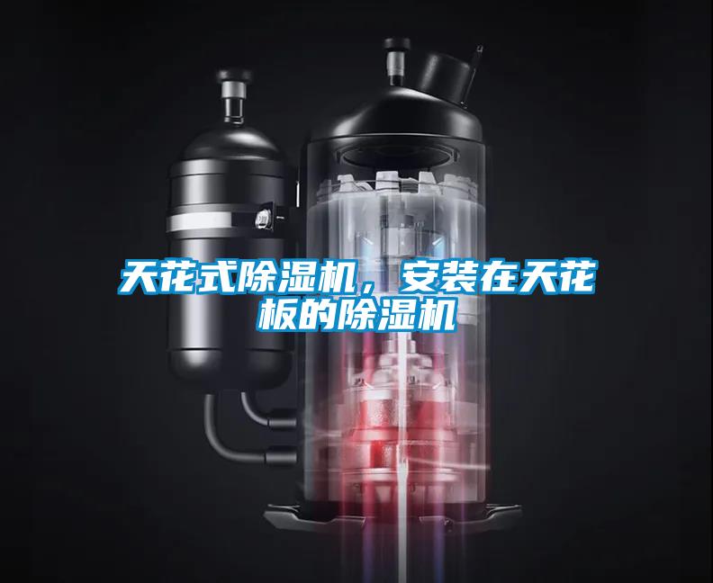 天花式除濕機，安裝在天花板的除濕機