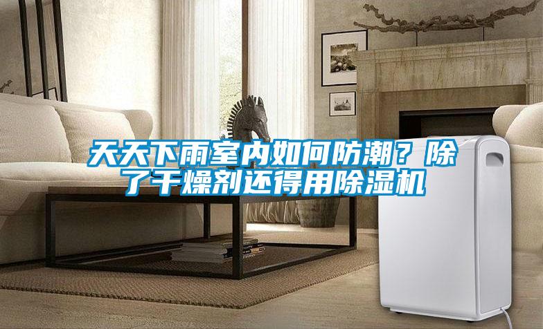 天天下雨室內如何防潮？除了干燥劑還得用除濕機