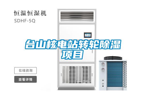 臺山核電站轉(zhuǎn)輪除濕項(xiàng)目
