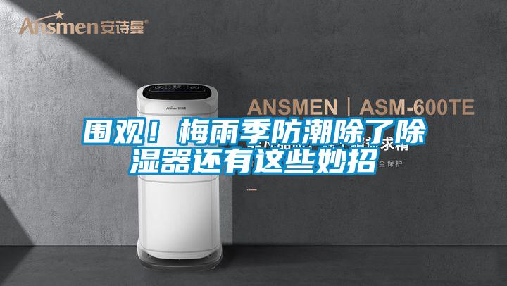 圍觀！梅雨季防潮除了除濕器還有這些妙招