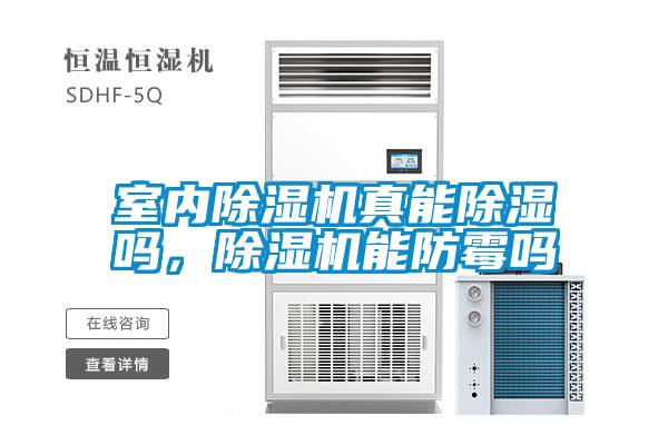 室內(nèi)除濕機(jī)真能除濕嗎，除濕機(jī)能防霉嗎