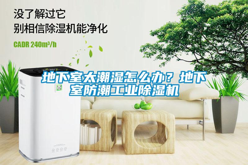 地下室太潮濕怎么辦？地下室防潮工業(yè)除濕機(jī)