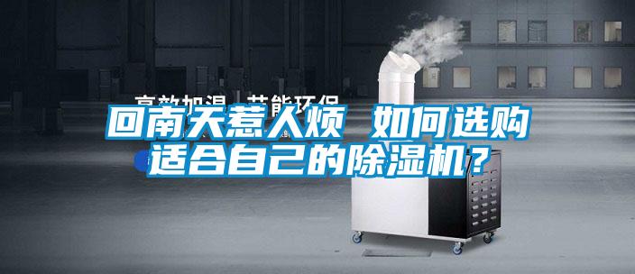回南天惹人煩 如何選購適合自己的除濕機(jī)？