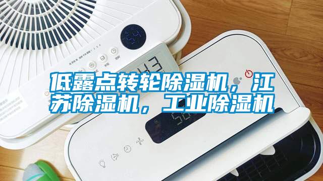 低露點(diǎn)轉(zhuǎn)輪除濕機(jī)，江蘇除濕機(jī)，工業(yè)除濕機(jī)