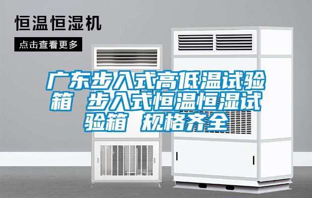 廣東步入式高低溫試驗箱 步入式恒溫恒濕試驗箱 規(guī)格齊全