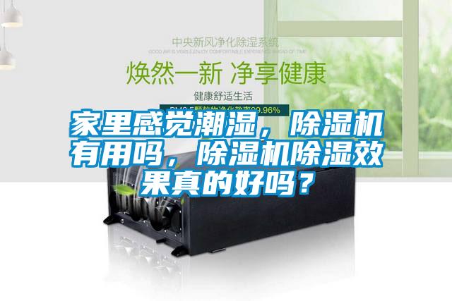 家里感覺潮濕，除濕機有用嗎，除濕機除濕效果真的好嗎？