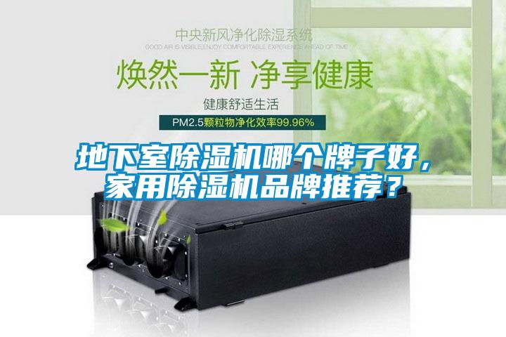地下室除濕機哪個牌子好，家用除濕機品牌推薦？