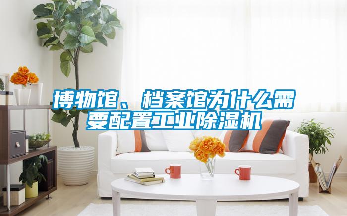 博物館、檔案館為什么需要配置工業(yè)除濕機(jī)
