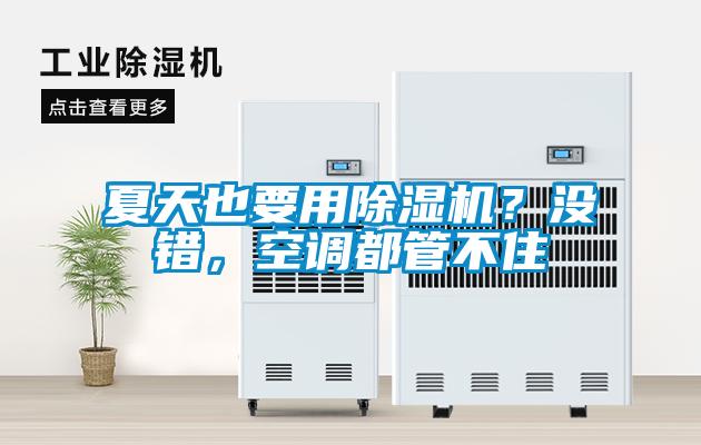 夏天也要用除濕機？沒錯，空調(diào)都管不住