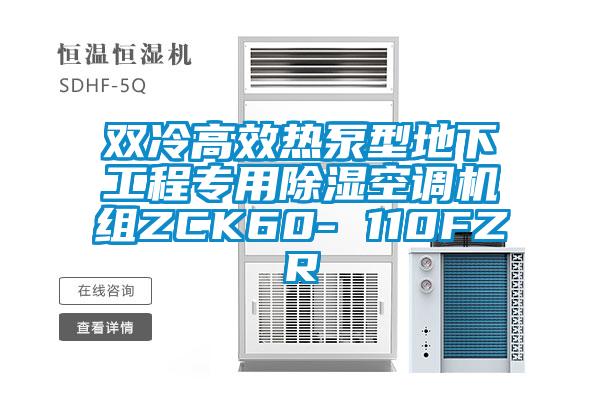 雙冷高效熱泵型地下工程專(zhuān)用除濕空調(diào)機(jī)組ZCK60- 110FZR