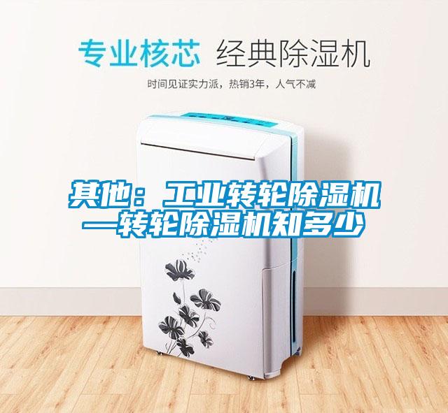 其他：工業(yè)轉(zhuǎn)輪除濕機—轉(zhuǎn)輪除濕機知多少