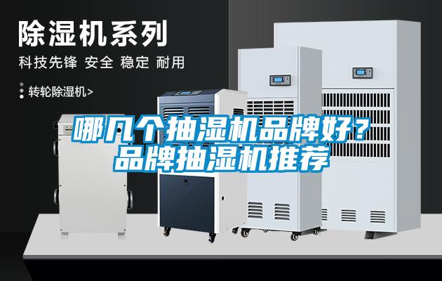 哪幾個(gè)抽濕機(jī)品牌好？品牌抽濕機(jī)推薦