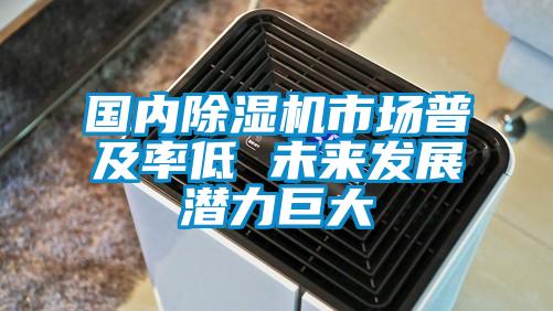 國內(nèi)除濕機(jī)市場普及率低 未來發(fā)展?jié)摿薮?/></p>
<p style=