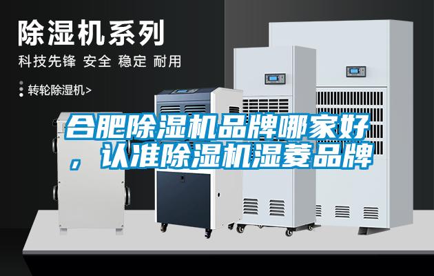 合肥除濕機(jī)品牌哪家好，認(rèn)準(zhǔn)除濕機(jī)濕菱品牌