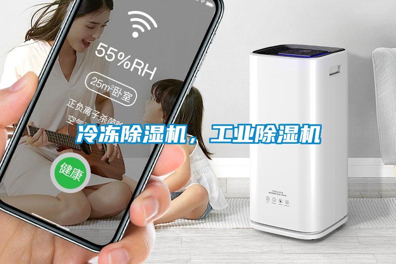 冷凍除濕機，工業(yè)除濕機