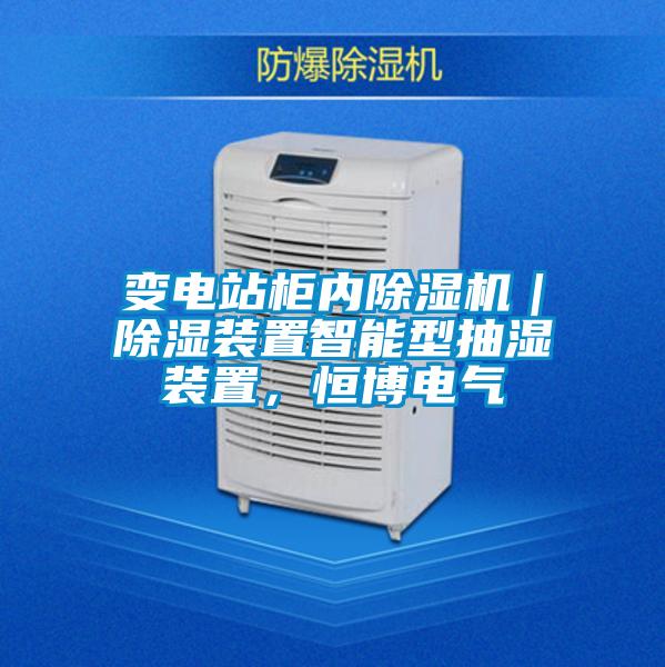 變電站柜內(nèi)除濕機(jī)｜除濕裝置智能型抽濕裝置，恒博電氣