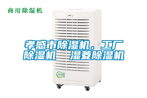 孝感市除濕機(jī)，工廠除濕機(jī)  濕菱除濕機(jī)
