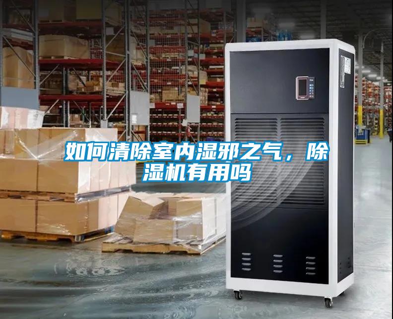 如何清除室內(nèi)濕邪之氣，除濕機(jī)有用嗎