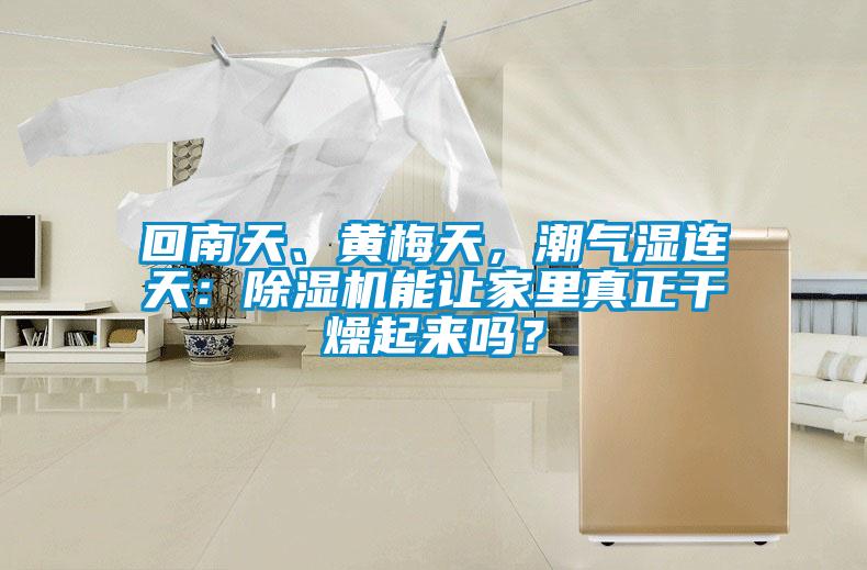 回南天、黃梅天，潮氣濕連天：除濕機(jī)能讓家里真正干燥起來嗎？