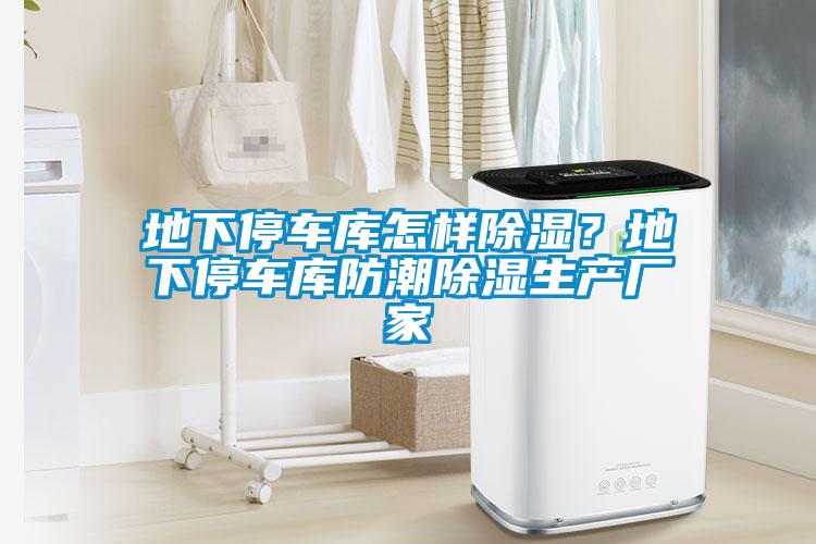 地下停車庫(kù)怎樣除濕？地下停車庫(kù)防潮除濕生產(chǎn)廠家