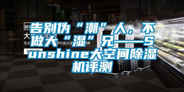 告別偽“潮”人，不做大“濕”兄——Sunshine大空間除濕機評測