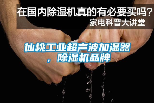 仙桃工業(yè)超聲波加濕器，除濕機品牌