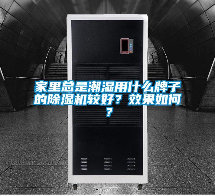家里總是潮濕用什么牌子的除濕機較好？效果如何？