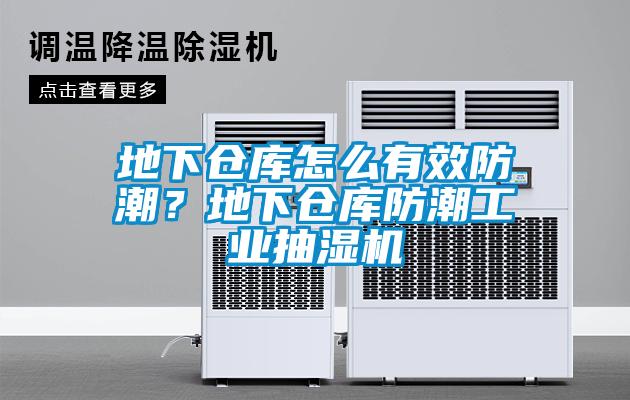 地下倉庫怎么有效防潮？地下倉庫防潮工業(yè)抽濕機