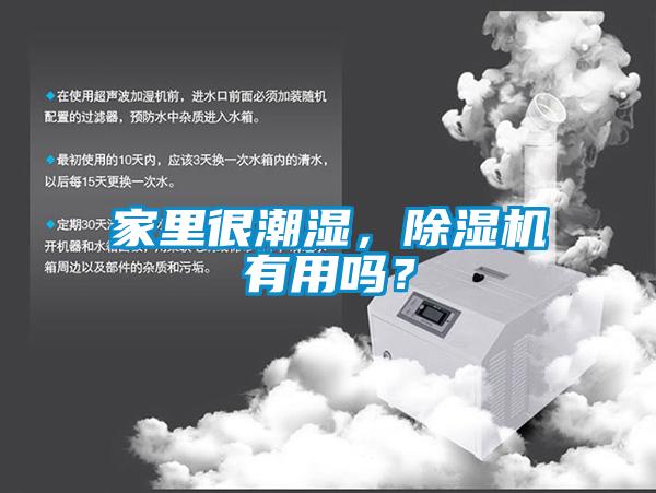 家里很潮濕，除濕機(jī)有用嗎？