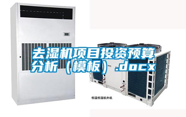 去濕機(jī)項目投資預(yù)算分析（模板）.docx