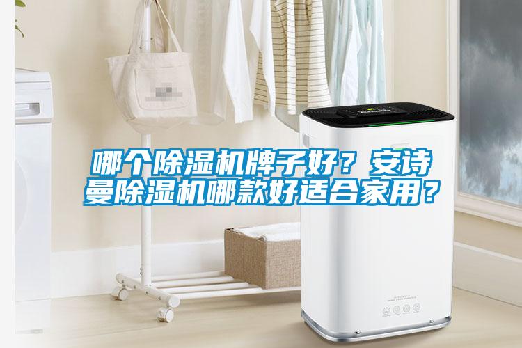 哪個除濕機牌子好？安詩曼除濕機哪款好適合家用？