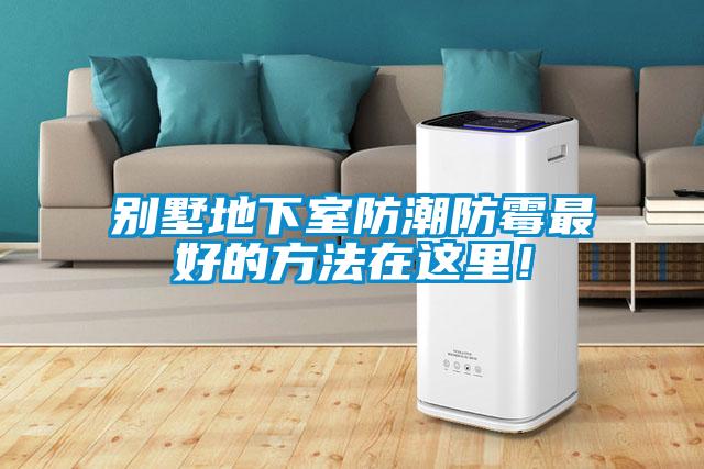 別墅地下室防潮防霉最好的方法在這里！