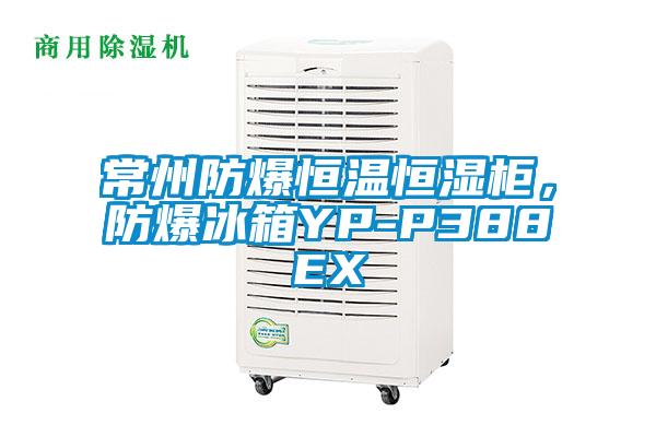 常州防爆恒溫恒濕柜，防爆冰箱YP-P388EX