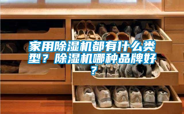 家用除濕機(jī)都有什么類(lèi)型？除濕機(jī)哪種品牌好？