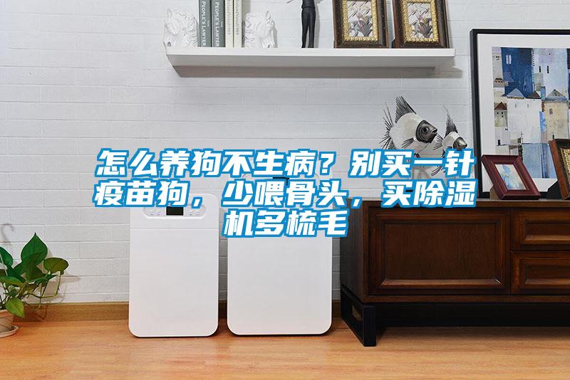怎么養(yǎng)狗不生病？別買一針疫苗狗，少喂骨頭，買除濕機多梳毛