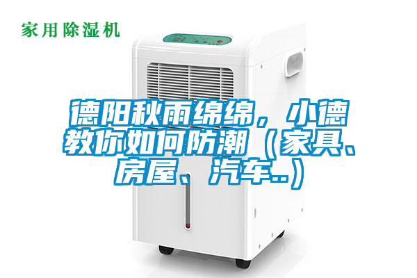 德陽秋雨綿綿，小德教你如何防潮（家具、房屋、汽車..）