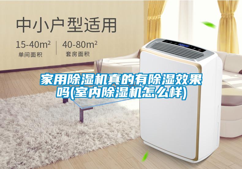 家用除濕機真的有除濕效果嗎(室內(nèi)除濕機怎么樣)