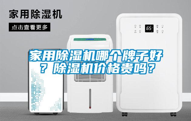家用除濕機(jī)哪個(gè)牌子好？除濕機(jī)價(jià)格貴嗎？