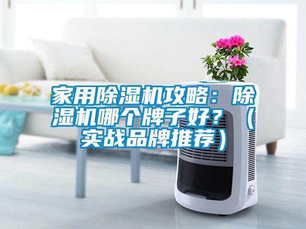 家用除濕機(jī)攻略：除濕機(jī)哪個(gè)牌子好？（實(shí)戰(zhàn)品牌推薦）