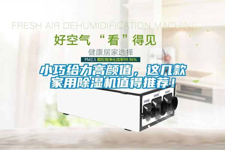 小巧給力高顏值，這幾款家用除濕機值得推薦！