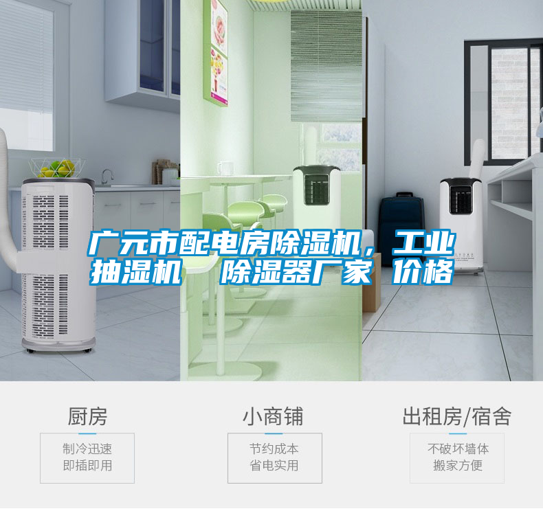 廣元市配電房除濕機(jī)，工業(yè)抽濕機(jī)  除濕器廠家 價(jià)格