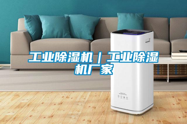 工業(yè)除濕機(jī)｜工業(yè)除濕機(jī)廠(chǎng)家
