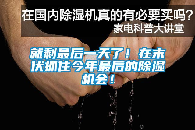 就剩最后一天了！在末伏抓住今年最后的除濕機會！
