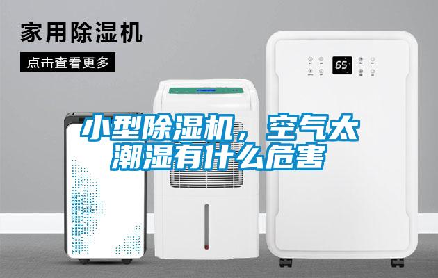 小型除濕機(jī)，空氣太潮濕有什么危害