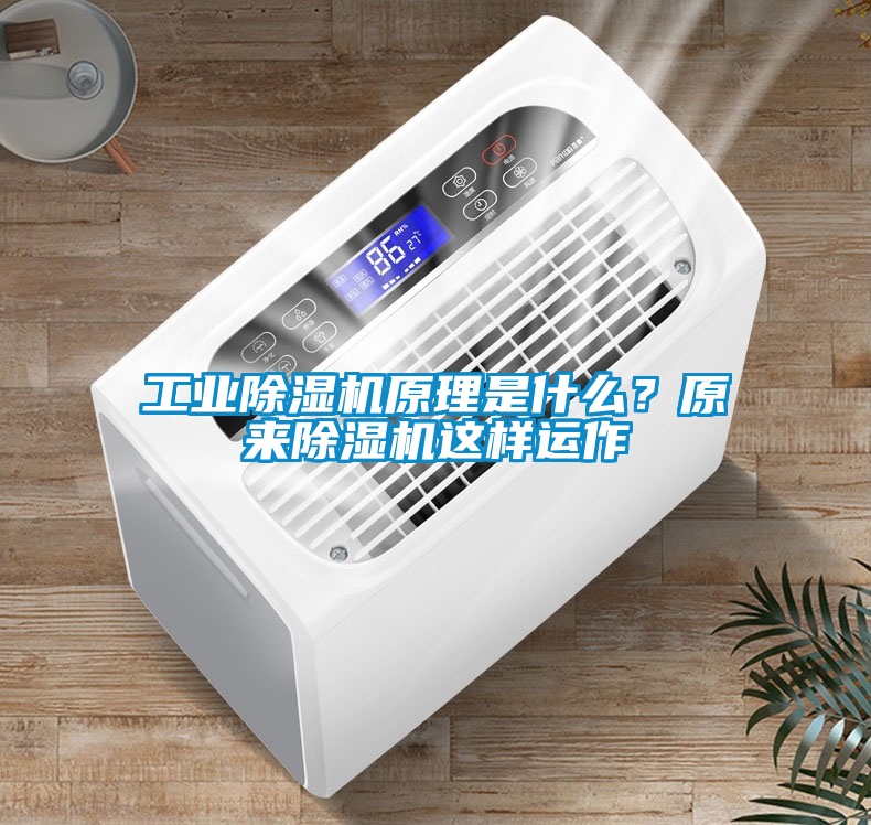 工業(yè)除濕機(jī)原理是什么？原來除濕機(jī)這樣運作
