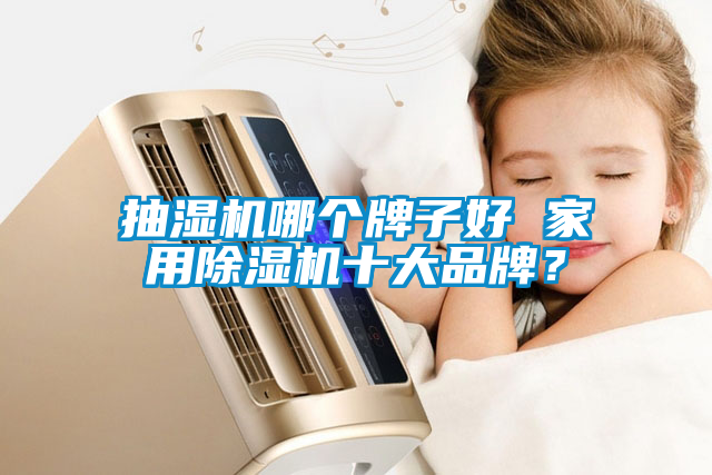 抽濕機(jī)哪個牌子好 家用除濕機(jī)十大品牌？