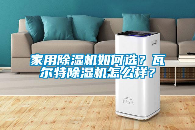 家用除濕機(jī)如何選？瓦爾特除濕機(jī)怎么樣？