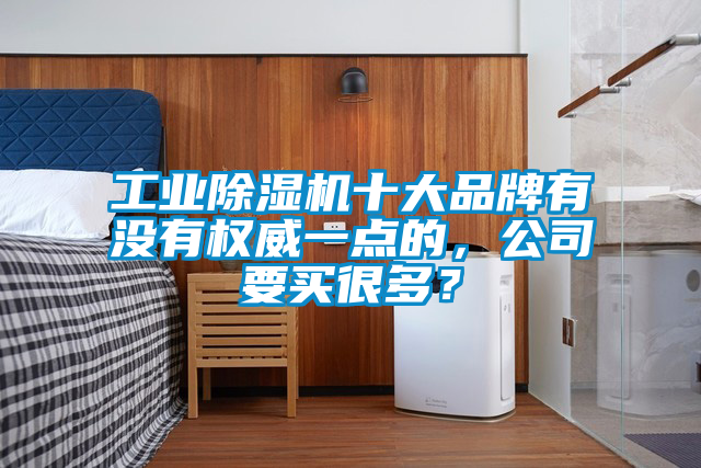 工業(yè)除濕機(jī)十大品牌有沒有權(quán)威一點(diǎn)的，公司要買很多？