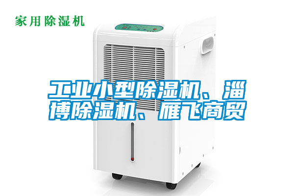 工業(yè)小型除濕機(jī)、淄博除濕機(jī)、雁飛商貿(mào)